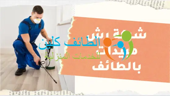 شركة رش مبيدات بالطائف بأرخص الأسعار | 0500150973 | الطائف كلين