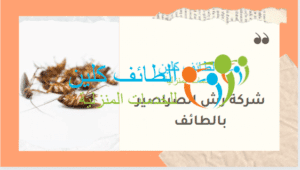 شركة رش الصراصير بالطائف