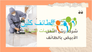 شركة رش النمل الأبيض بالطائف