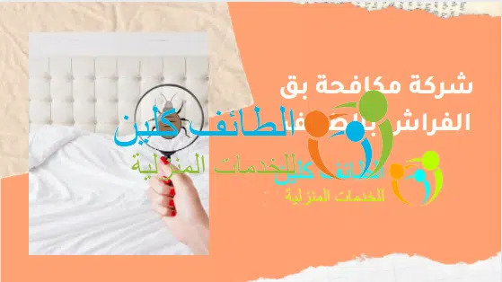 شركة مكافحة بق الفراش بالطائف 0500150973 بخصم 40%