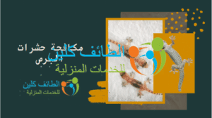 مكافحة حشرات البرص