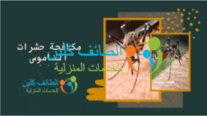 مكافحة حشرات الناموس