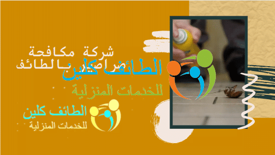 شركة مكافحة صراصير بالطائف 0500150973 وخصم 20%الطائف كلين