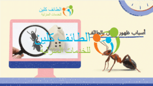 شركة مكافحة نمل بالطائف 0500150973 وخصم 20% الطائف كلين 4 أسباب ظهور النمل بالطائف