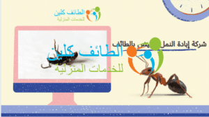 شركة مكافحة نمل بالطائف 0500150973 وخصم 20% الطائف كلين 5 شركة إبادة النمل الأبيض بالطائف