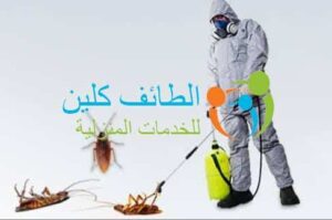 شركة مكافحة حشرات برضوانة