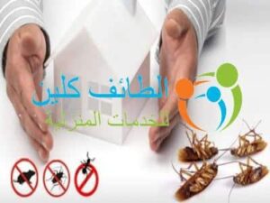 شركة مكافحة حشرات برضوانة