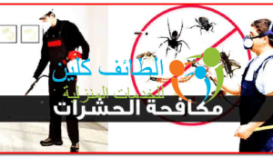 شركة مكافحة حشرات بالمويه | 0500150973 | خصم20% الطائف كلين 3 شركة مكافحة حشرات بالمويه