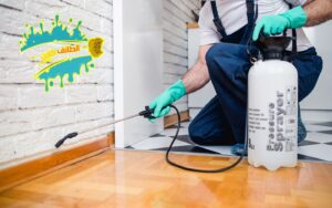 مكافحة-حشرات-بالاحساء